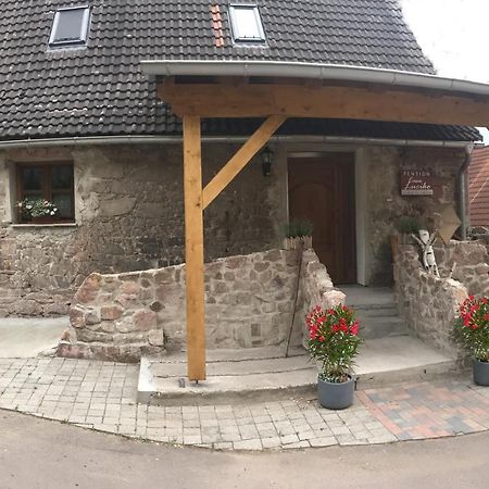 Pension Casa Luciko Brachwitz Екстериор снимка